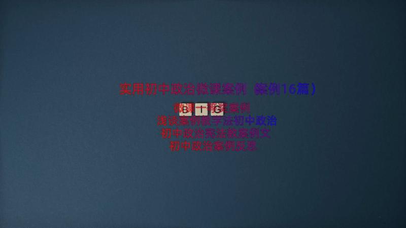 实用初中政治微课案例（案例16篇）