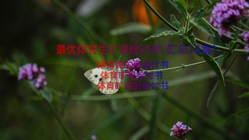 最优体育生旷课检讨书（汇总16篇）