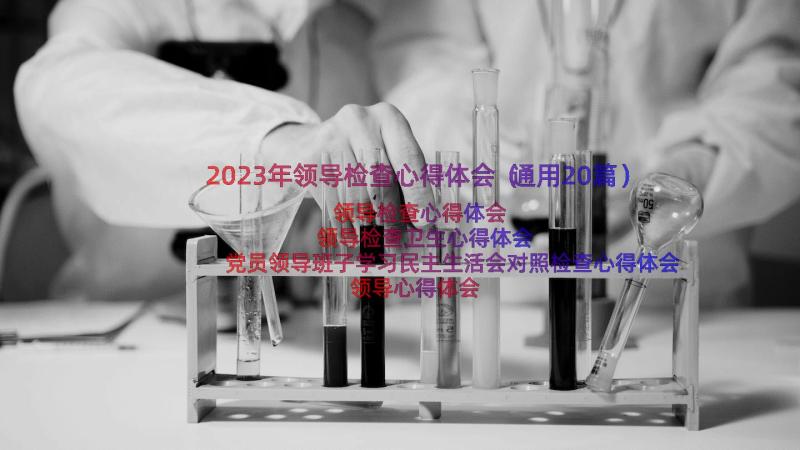 2023年领导检查心得体会（通用20篇）