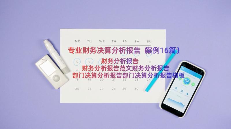 专业财务决算分析报告（案例16篇）