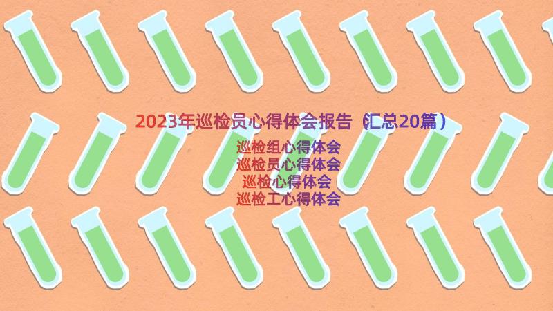 2023年巡检员心得体会报告（汇总20篇）