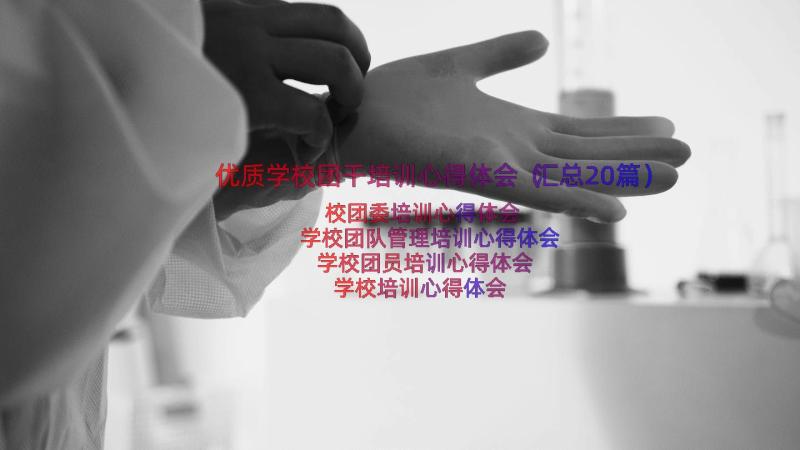 优质学校团干培训心得体会（汇总20篇）