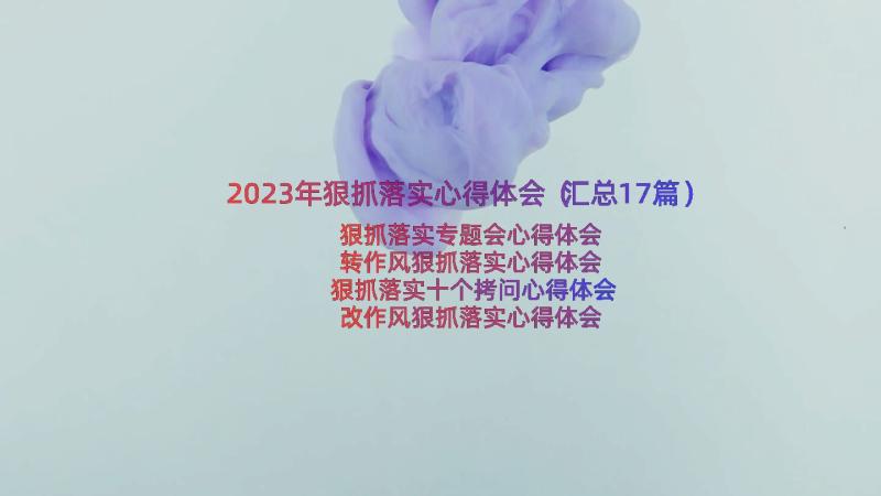 2023年狠抓落实心得体会（汇总17篇）