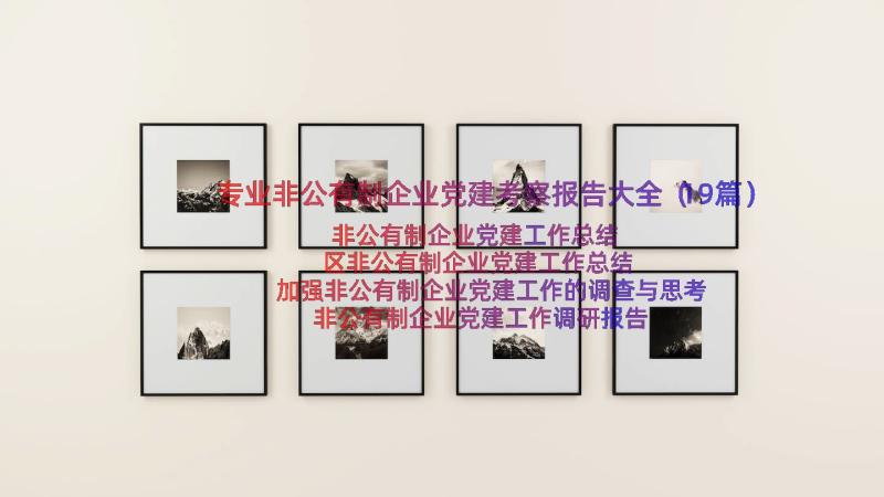 专业非公有制企业党建考察报告大全（19篇）