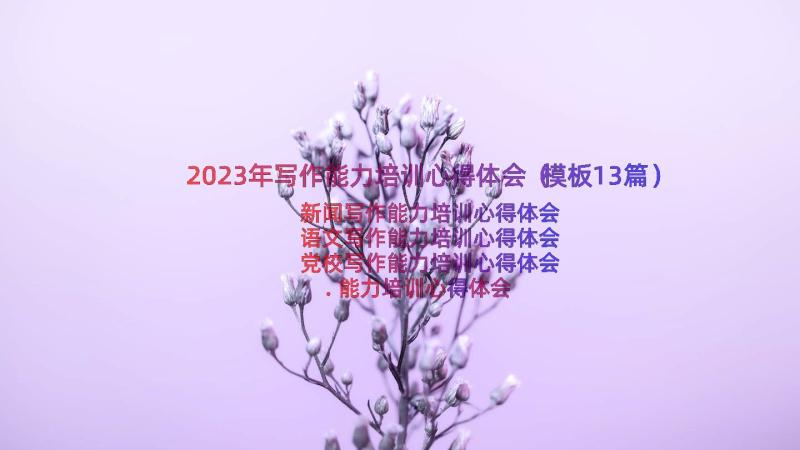 2023年写作能力培训心得体会（模板13篇）