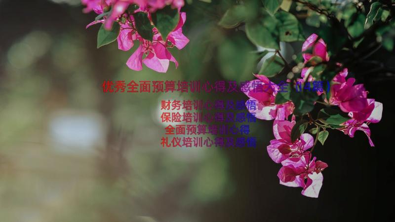 优秀全面预算培训心得及感悟大全（14篇）