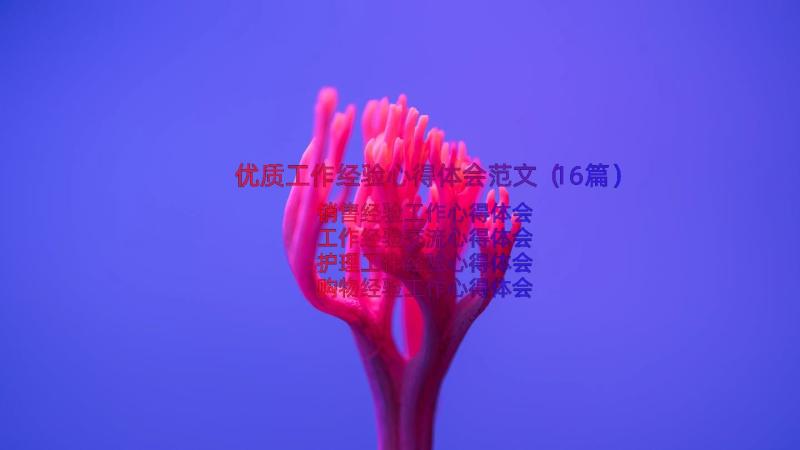 优质工作经验心得体会范文（16篇）