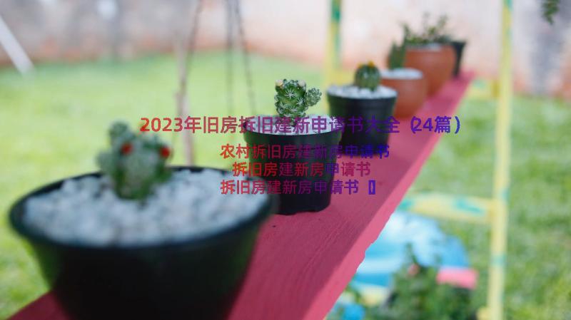 2023年旧房拆旧建新申请书大全（24篇）