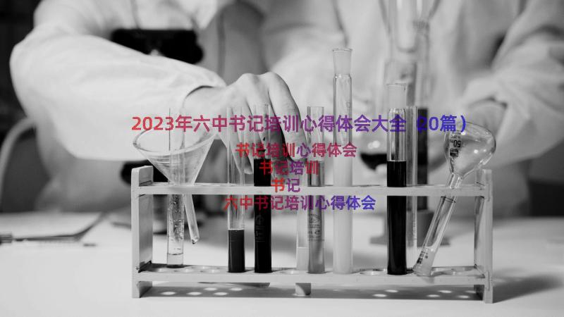 2023年六中书记培训心得体会大全（20篇）