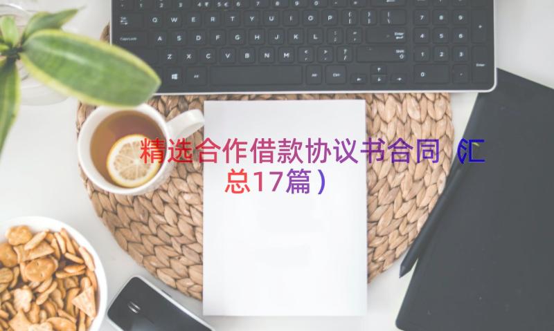 精选合作借款协议书合同（汇总17篇）