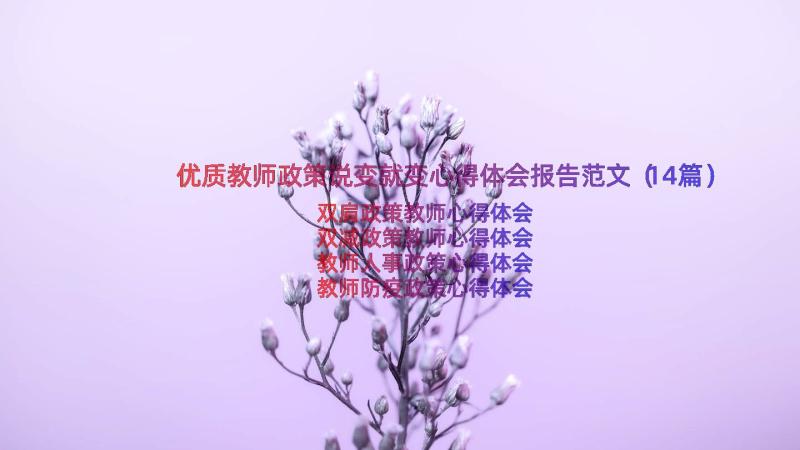 优质教师政策说变就变心得体会报告范文（14篇）