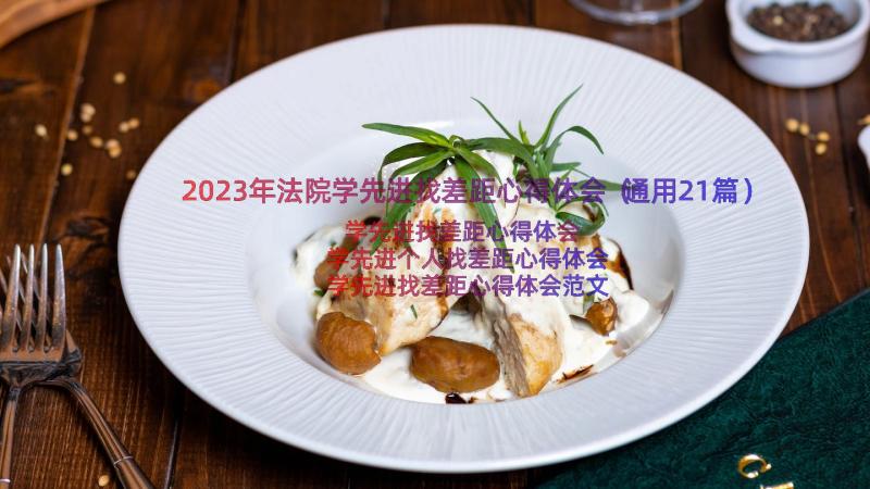 2023年法院学先进找差距心得体会（通用21篇）