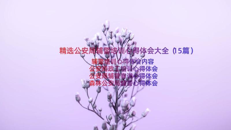 精选公安局辅警培训心得体会大全（15篇）