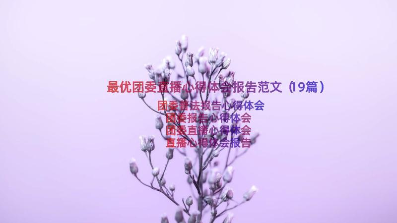 最优团委直播心得体会报告范文（19篇）