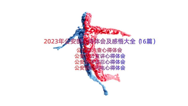 2023年公安部心得体会及感悟大全（16篇）