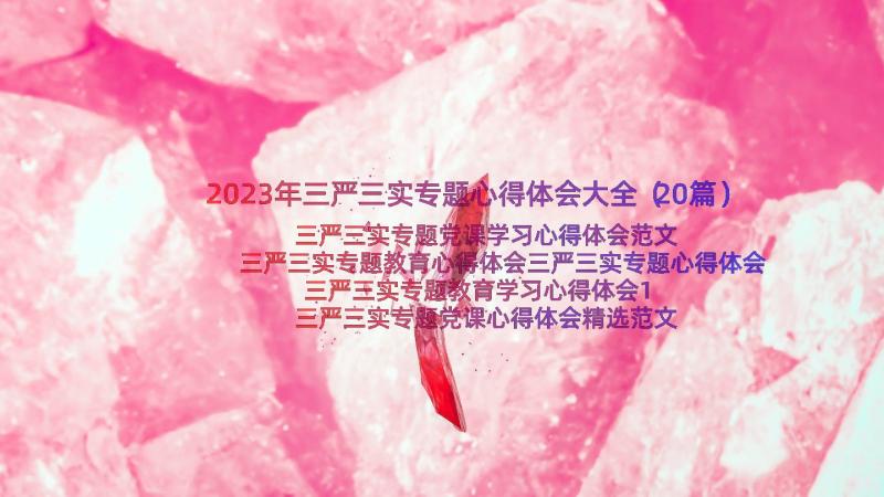 2023年三严三实专题心得体会大全（20篇）