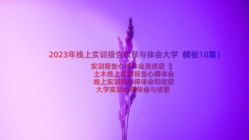 2023年线上实训报告收获与体会大学（模板18篇）