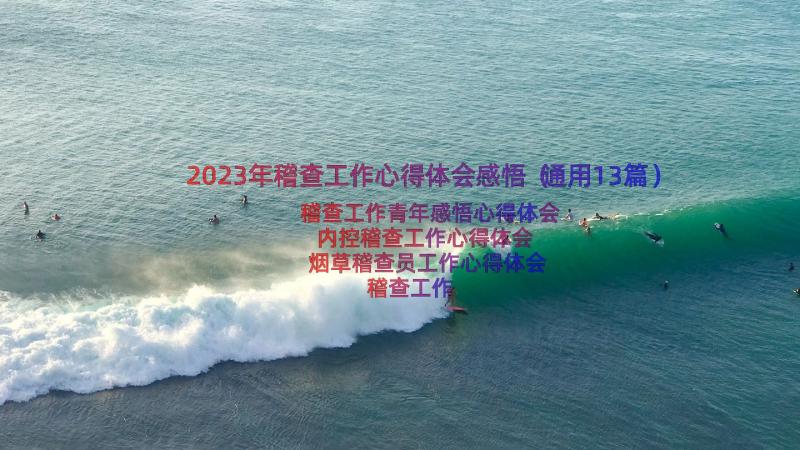 2023年稽查工作心得体会感悟（通用13篇）