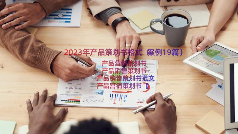 2023年产品策划书格式（案例19篇）