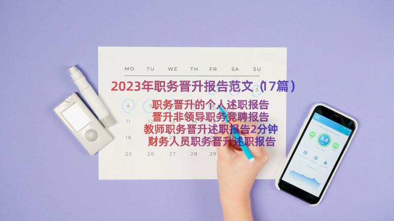 2023年职务晋升报告范文（17篇）