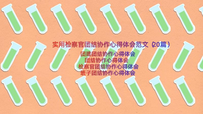 实用检察官团结协作心得体会范文（20篇）