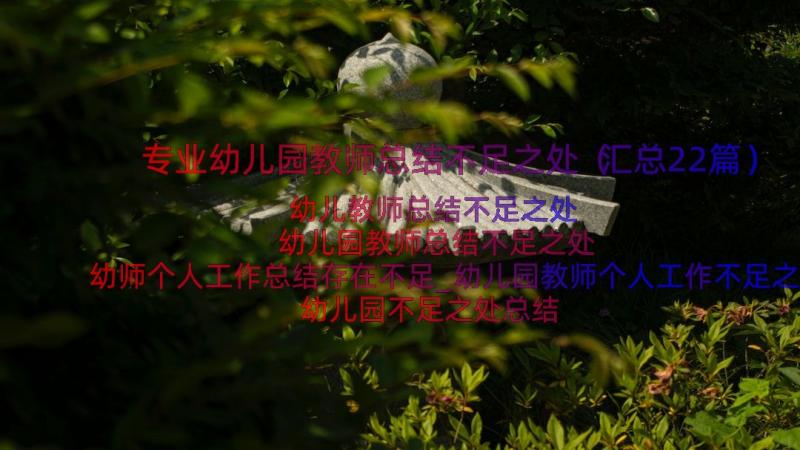 专业幼儿园教师总结不足之处（汇总22篇）