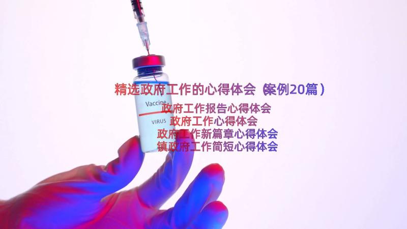 精选政府工作的心得体会（案例20篇）