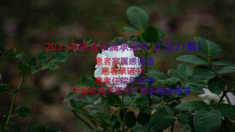 2023年患者家属承诺书（汇总21篇）