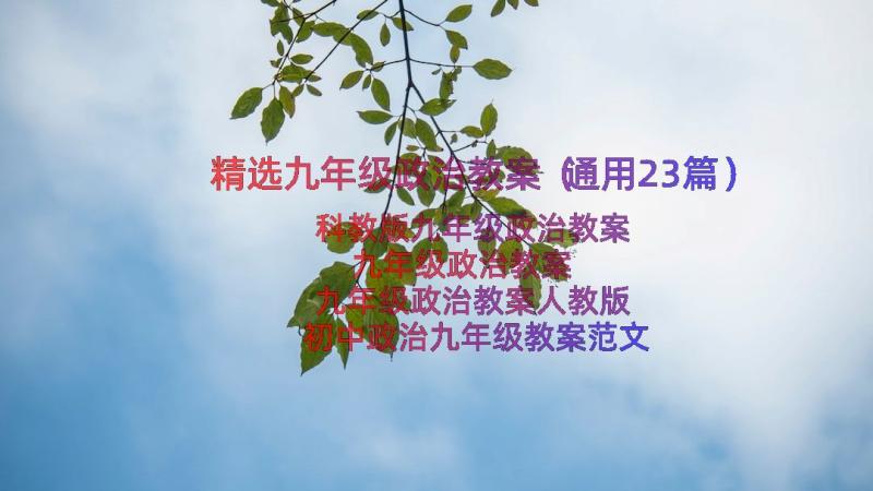 精选九年级政治教案（通用23篇）