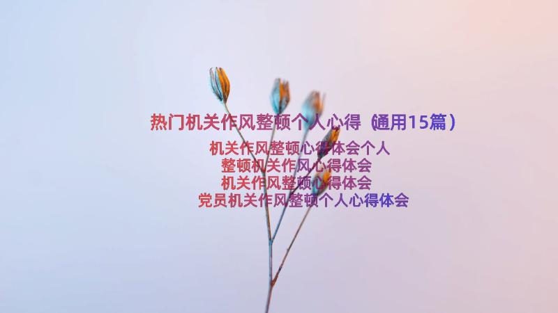 热门机关作风整顿个人心得（通用15篇）