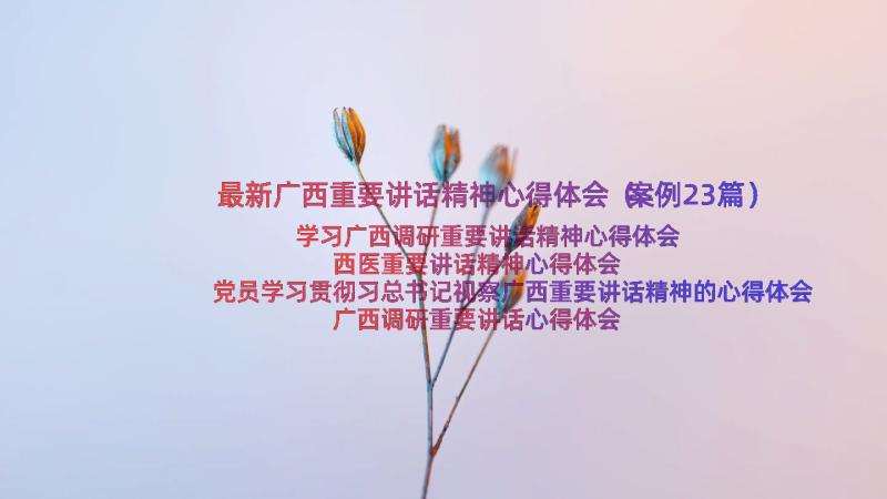 最新广西重要讲话精神心得体会（案例23篇）