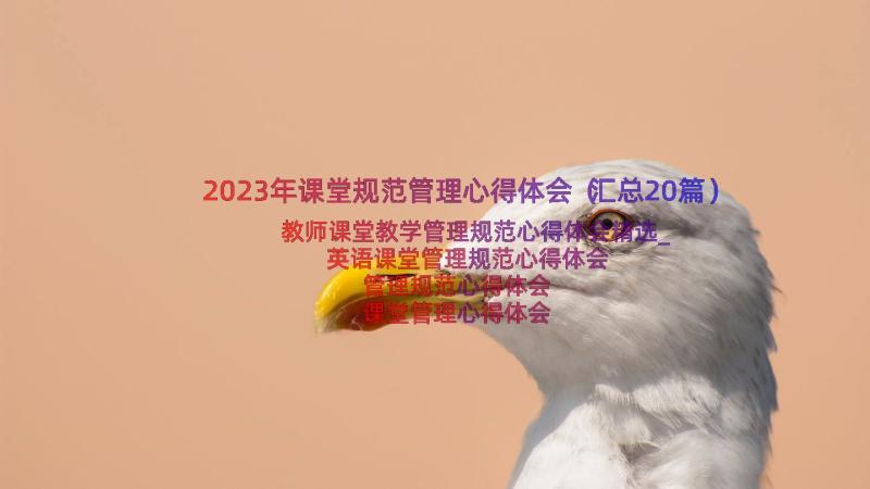 2023年课堂规范管理心得体会（汇总20篇）