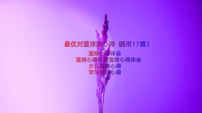 最优对篮球的心得（通用17篇）