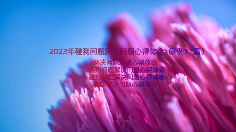 2023年碰到问题解决问题心得体会（案例17篇）