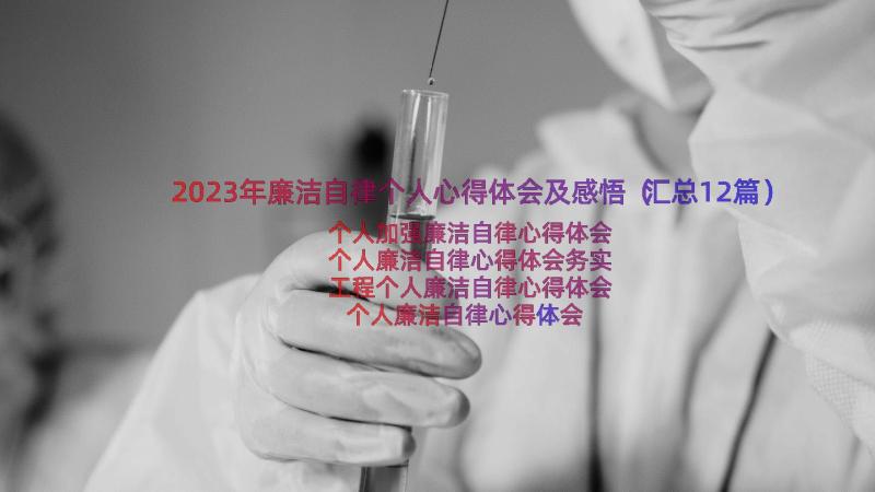 2023年廉洁自律个人心得体会及感悟（汇总12篇）