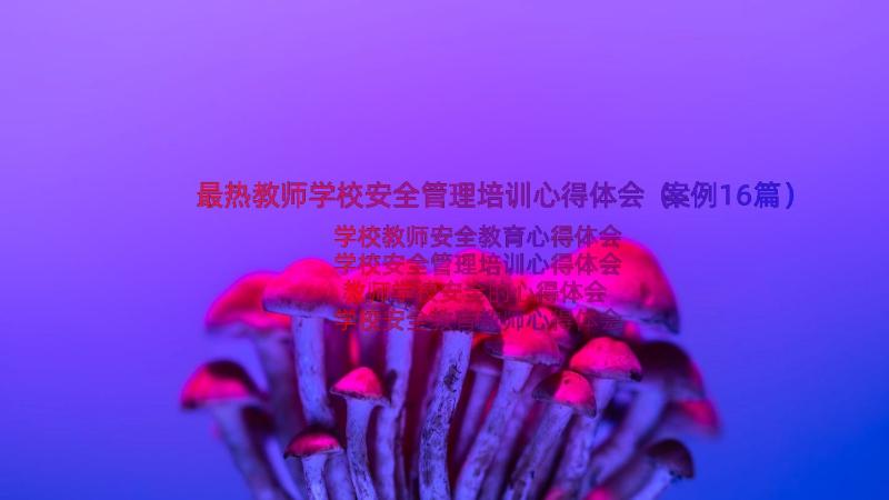 最热教师学校安全管理培训心得体会（案例16篇）