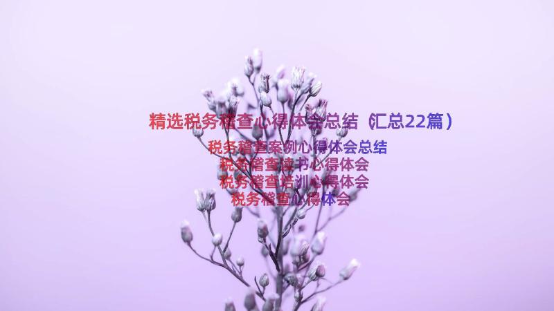 精选税务稽查心得体会总结（汇总22篇）