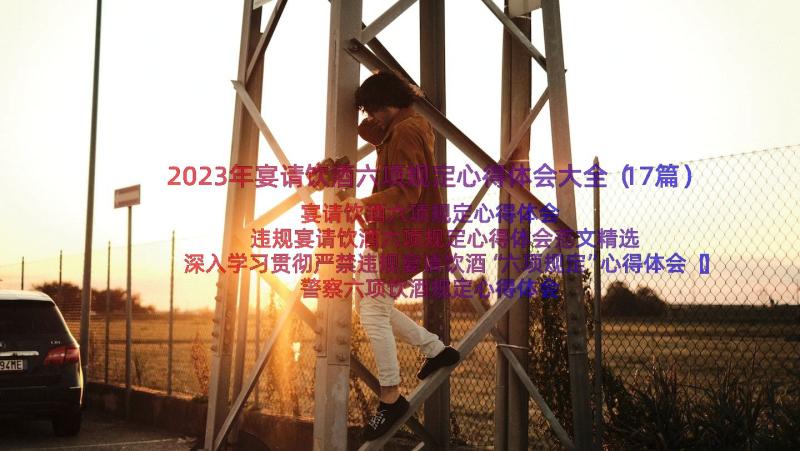 2023年宴请饮酒六项规定心得体会大全（17篇）