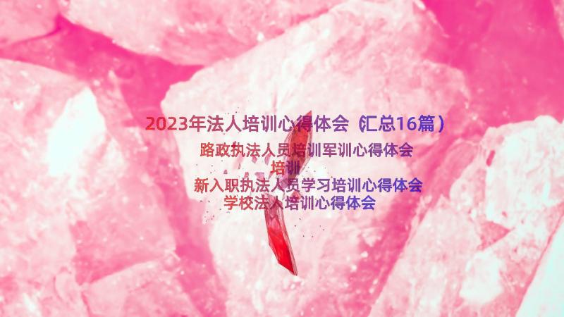 2023年法人培训心得体会（汇总16篇）