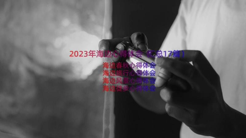 2023年海边心得体会（汇总17篇）