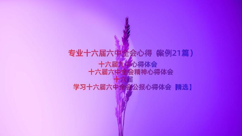 专业十六届六中全会心得（案例21篇）