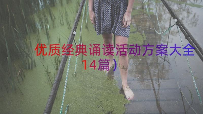 优质经典诵读活动方案大全（14篇）