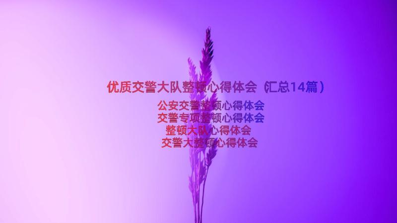 优质交警大队整顿心得体会（汇总14篇）