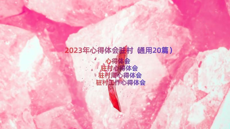 2023年心得体会驻村（通用20篇）