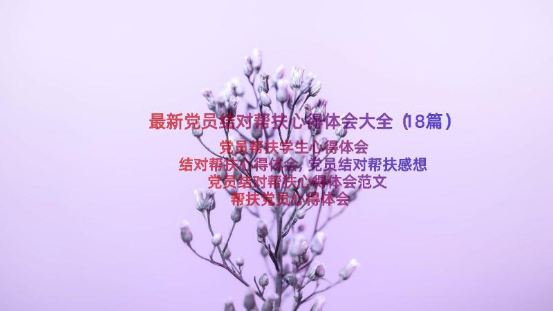 最新党员结对帮扶心得体会大全（18篇）