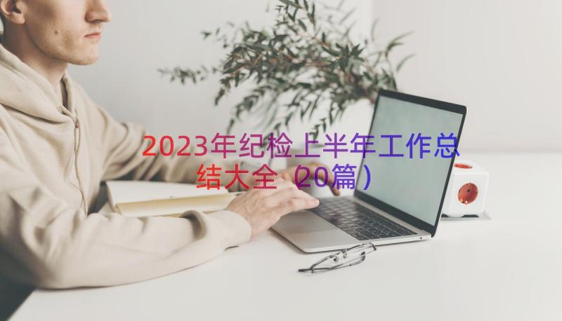 2023年纪检上半年工作总结大全（20篇）