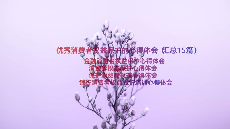 优秀消费者权益保护的心得体会（汇总15篇）