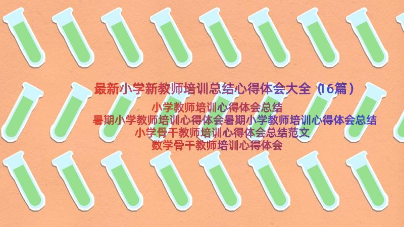 最新小学新教师培训总结心得体会大全（16篇）