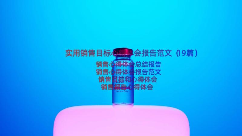 实用销售目标心得体会报告范文（19篇）