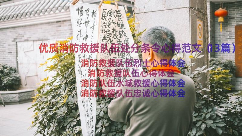 优质消防救援队伍处分条令心得范文（13篇）